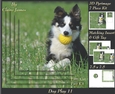 Furry Friends & Familiars - Dog Play 11 - Pyrimage/pyramid + Insert & Tag