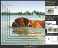 Furry Friends & Familiars - Dog Play 13 - Pyrimage/pyramid + Insert & Tag
