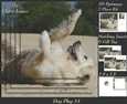 Furry Friends & Familiars - Dog Play 14 - Pyrimage/pyramid + Insert & Tag