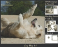 Furry Friends & Familiars - Dog Play 14 - Decoupage + Insert & Tag
