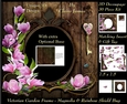 Victorian Secret Garden - Magnolia & Rainbow Shield Bug Frame & Card Kit Special 3D Decoupage + Insert & Tag