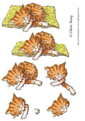 Watercolour Cat Step by Step Decoupage Craft Sheet