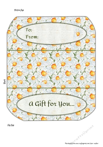 FIELD OF DAISIES MONEY WALLET:  Floral Patterned Wallet/Voucher Holder