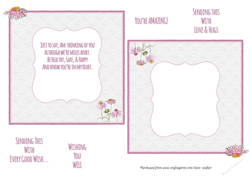 ECHINACEA INSERTS:  1 Blank, 1 With Thinking of You Verse, Plus 4 Bonus Short Verses/Setiments