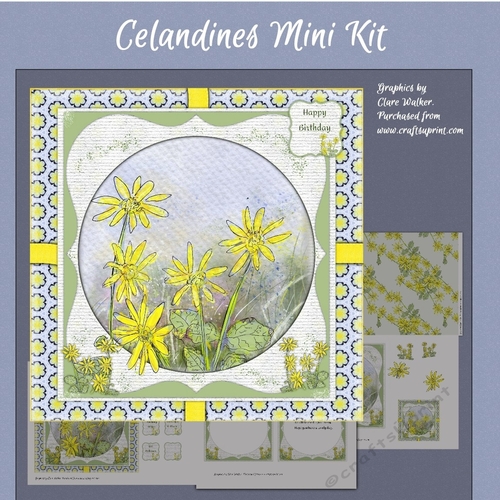 CELANDINES: 4 Sheet Yellow Wild Flower Mini-Kit With Decoupage & Background