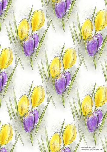 PROMISE OF SPRING: A4 Floral Crocus Background/BackingPaper