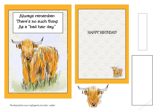 NO BAD HAIR DAY: 5x7 Funny Highland Cow Combined Quick Card and Insert, With Decoupage