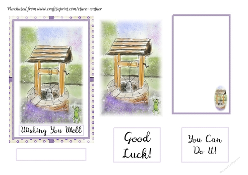 WISHING WELL: 4x6 Wishing You Well/Other Occasion Combined Card and Insert 