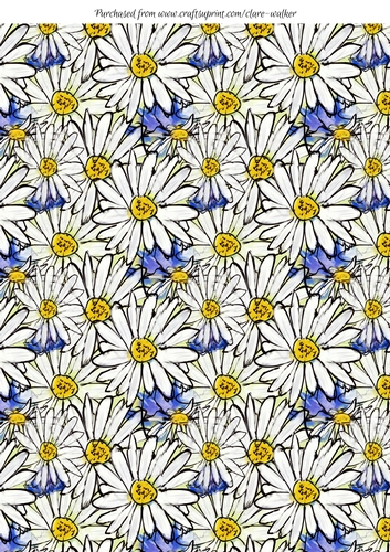 DAISY AND CORNFLOWER BACKGROUND: Multi-Directional A4 Floral Patterned Backing Paper