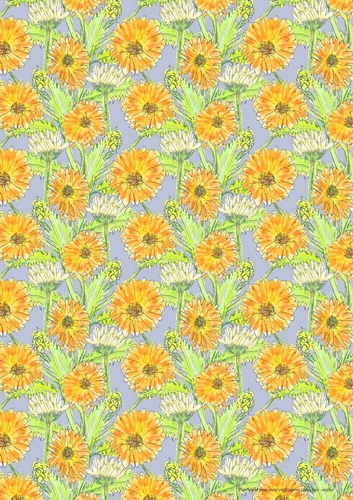 A4 ORANGE FLORAL PATTERNED BACKGROUND: Marigold, Calendula/Daisy Backing Paper