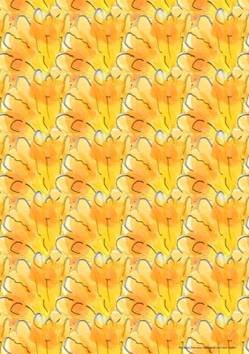 BRIGHT ORANGE FLORAL BACKGROUND: A4 Multi-directional Marigold, Calendula or Daisy Petal Fan Patterned Backing Paper