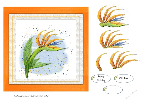 BIRD OF PARADISE FLOWER: Watercolour Birthday Floral Card Front With 4 Decoupage Layers