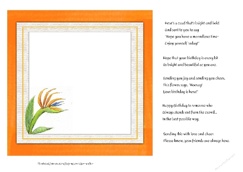 BIRD OF PARADISE FLOWER INSERT: 7x7 Blank Watercolour Floral Insert With 5 Interchangeable Bonus Verses