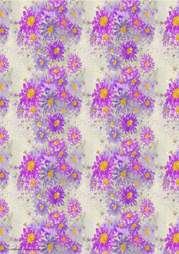 A4 PINK & PURPLE ASTER FLORAL BACKGROUND: Wide Flower-Striped Bi-Directional Patterned Backing Paper