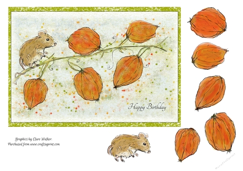 CUTE MOUSE BIRTHDAY A5 QUICK CARD- With Optional Decoupage & Commercial Use