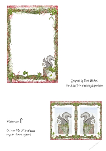 CUTE SQUIRREL CHRISTMAS CARD INSERT With Bonus Gift Tag & Commercial Use