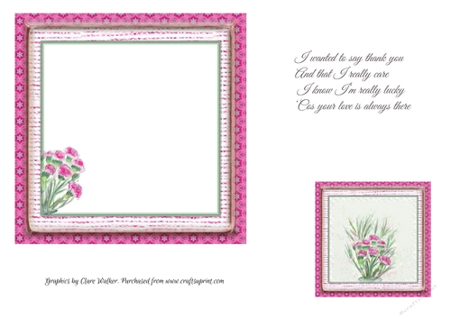 PINK CARNATIONS FLORAL INSERT: For Mothers Day, Birthdays & Female Occasions, With Optional Verse and Bonus Gift Tag/Mini Topper