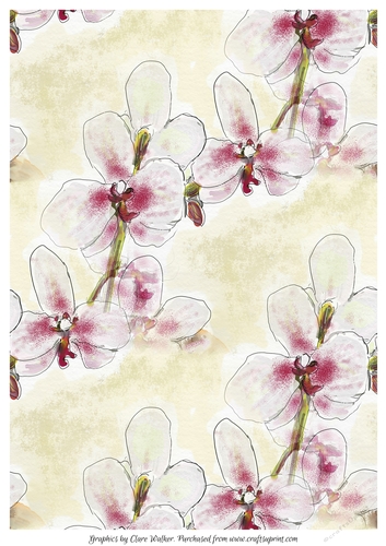ORCHID BACKGROUND: A4 Orchid Floral Background/Backing Paper, With Commercial Use