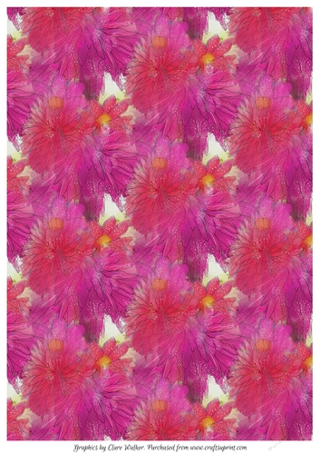 DAHLIAS: A4 Floral Background/Backing Paper, and Commercial Use