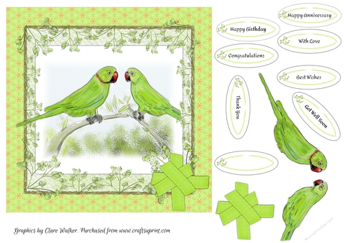 PAIR OF PARAKEETS: 7x7 Card Front For Anniversaries, Birthdays & More, With Decoupage, 8 Sentiment Tags & Commercial Use