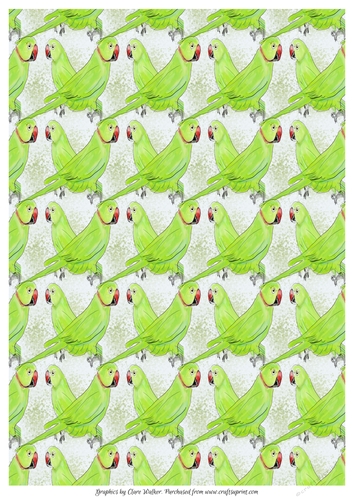 PAIR OF PARAKEETS BACKGROUND: A4 Green Parakeet Bird Patterned Background/Backing Paper, with Commercial Use