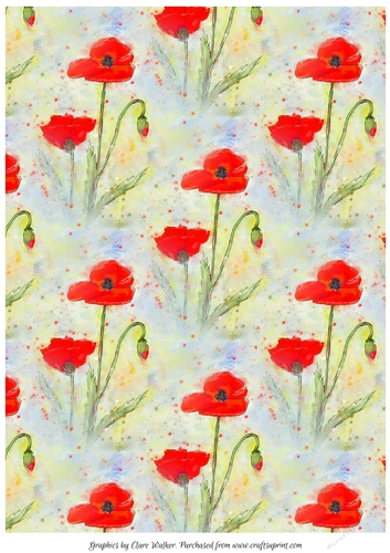 POPPIES  BACKING PAPER/BACKGROUND: A4 With Commercial Use