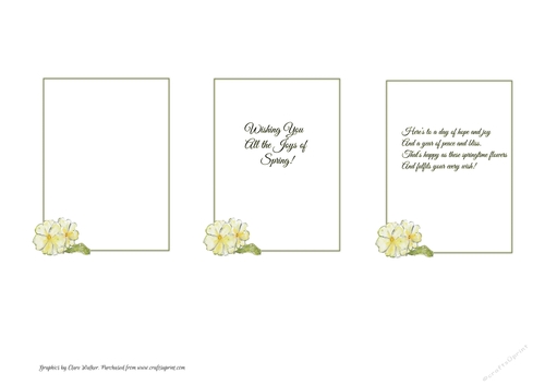 3 PRIMROSE FLORAL INSERTS: For Birthdays/Other Occasions, 1 Blank, 2 With Verse.