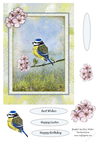 BLUE TIT & BLOSSOM: A5 Quick Card With Easy Decoupage & Commercial Use