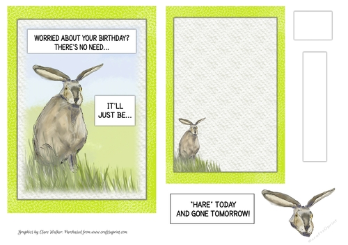 HARE TODAY & GONE TOMORROW: Funny 5x7 Birthday Quick Card & Insert, With Decoupage