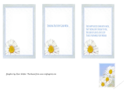 3 DAISY INSERTS: 3 x Floral Inserts (1 Blank, 2 With Verse) & Bonus Mini-Gift Tag