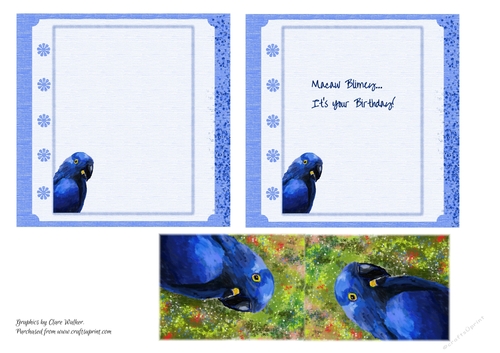 2 HYACINTH MACAW/BLUE PARROT INSERTS: One Blank, One With Short Verse, & Bonus Gift Tag