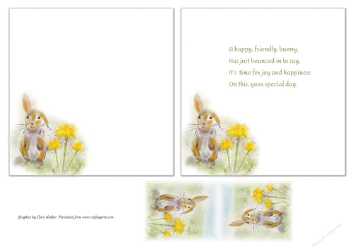 2 HAPPY BUNNY RABBIT INSERTS: 1 Blank, 1 With Verse, & Bonus Gift Tag