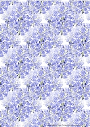AGAPANTHUS: A4 Multi-Directional Floral Background/Backing Paper, With Commercial Use