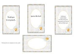 4 x DAISY MINI-INSERTS/MINI-TOPPERS: 1 Blank, 3 With Verses/Sentiments