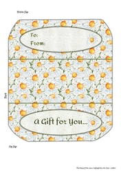 FIELD OF DAISIES MONEY WALLET: Floral Patterned Wallet/Voucher Holder