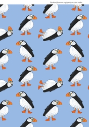 PUFFIN PATTERN BACKGROUND: A4 Puffin Multi-Directional Background/Backing Paper, With Commercial Use