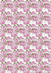 GERANIUMS: A4 Pink Geraniums Multi-Directional Patterned Background/Backing Paper