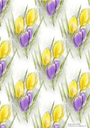 PROMISE OF SPRING: A4 Floral Crocus Background/BackingPaper