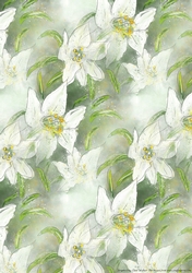 WHITE LILIES: A4 Multi-Directional Floral Patterned Background/Backing Paper