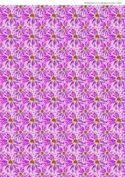PINK/PURPLE FLOWER BACKGROUND-A4 Multi-Directional Floral Patterned Backing Paper