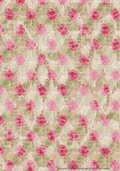 RED AND PINK ROSES BACKGROUND: A4 Rose and Lace Patterned Multi-Directional Background/Backing Paper
