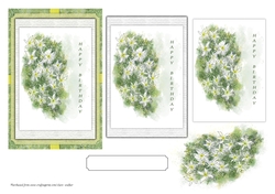 WHITE JASMINE FLOWERS: 4x6 Floral Birthday/Occasion Card Front, With Easy Decoupage