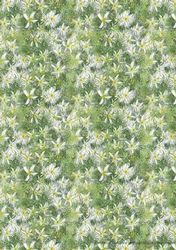  WHITE JASMINE FLOWER PATTERNED BACKGROUND: A4 Multi-Directional Floral Backing Paper