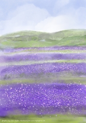 LAVENDER FIELDS: A4 Watercolour Background/Backing Paper