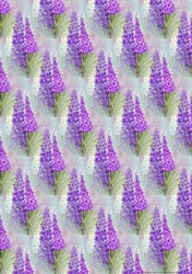 PINK & PURPLE LUPIN BACKGROUND: A4 Floral Patterned Backing Paper