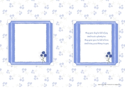 CORNFLOWER INSERTS: 1 Blank, 1 With Verse, on a Subtle Cornflower Background