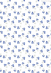 CORNFLOWER BACKGROUND: A4 Multi-Directional Blue and White Patterned Floral Backing Paper