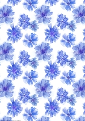 WATERCOLOUR CORNFLOWERS: A4 Multi-Directional Floral Patterned Background/Backing Paper