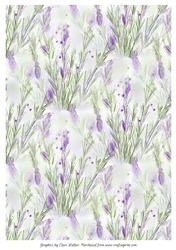 LAVENDER BACKGROUND: A4 With Commercial Use