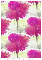 DAHLIAS: A4 Background/Backing Paper 2, With Commercial Use
